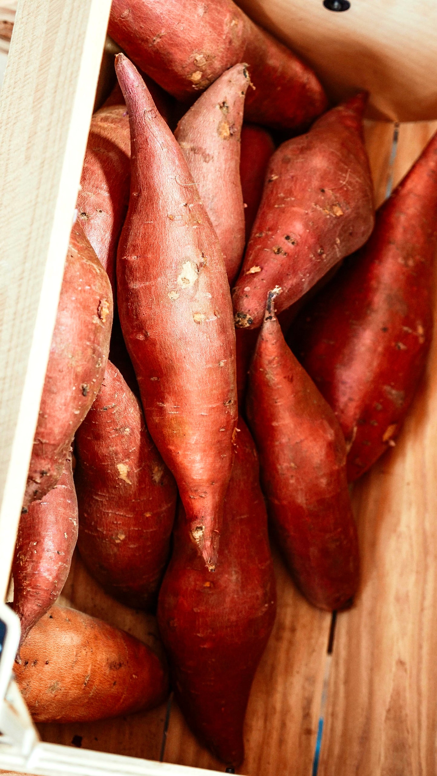 IV Mother - Bourbon Sweet Potato Pie